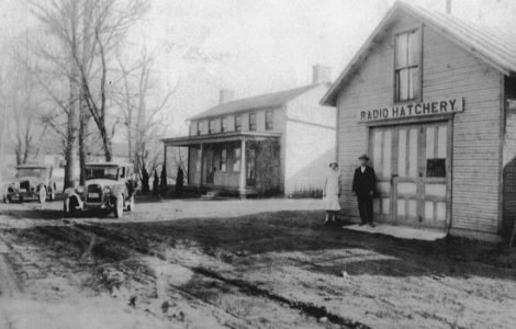 Hatchery Business in the Late 1920s Image